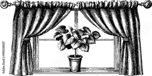 Vintage window scene with curtains and potted plant hand-drawn engraving design