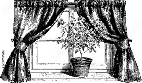 Vintage window scene with curtains and potted plant engraving for retro decor design