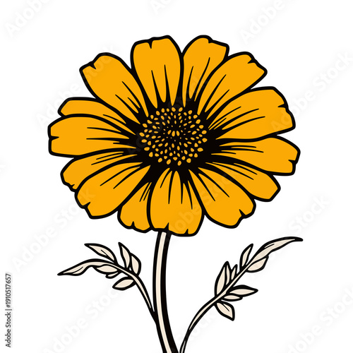 Marigold Flower