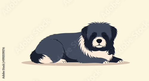 Fluffy black and white dog resting peacefully with closed eyes