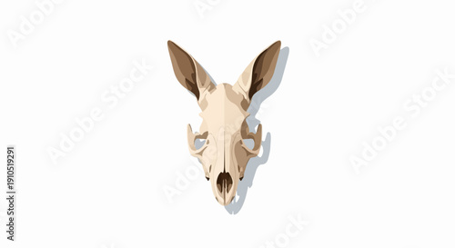 Flat illustration of a tan and brown animal skull with large ears