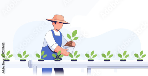 Farmer planting seedlings in a modern, clean hydroponic system