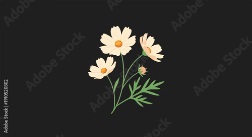 Delicate cream-colored flowers and a bud with green stems and leaves on a dark background