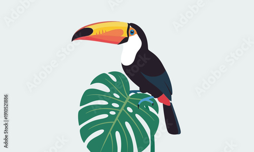 A vibrant Toco Toucan with a large orange and yellow beak perched gracefully on a single green Monstera deliciosa leaf. The bird features black plumage, a white chest, and a splash of red near its 