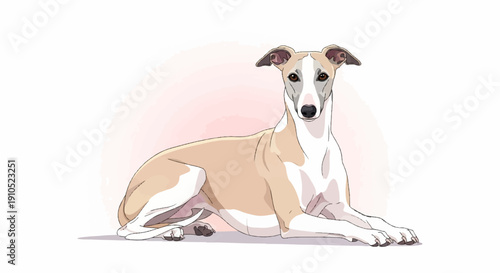 Elegant dog resting with soft pink background