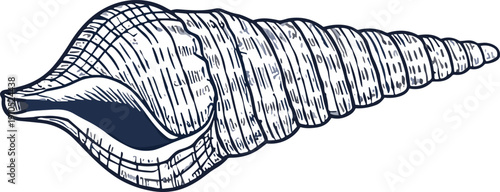 Detailed conch shell illustration, spiral marine shell vector, ocean nature artwork, coastal design drawing, textured aquatic icon, hand drawn style