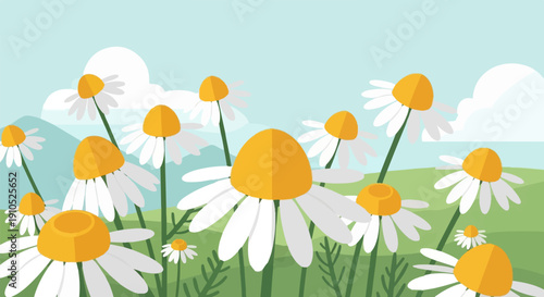 Field of daisies under a bright sky with fluffy clouds