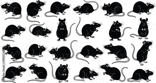 Collection of rat silhouettes illustration, 25 black vector designs, animal poses artwork, rodent icon set, wildlife tracking symbols, decorative pattern drawing