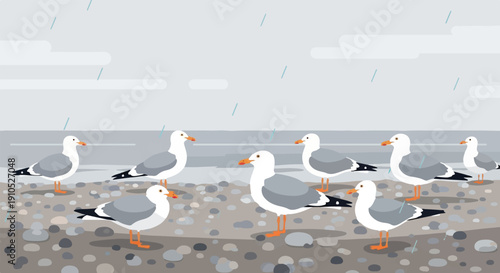 Flock of seagulls on a pebble beach in the rain