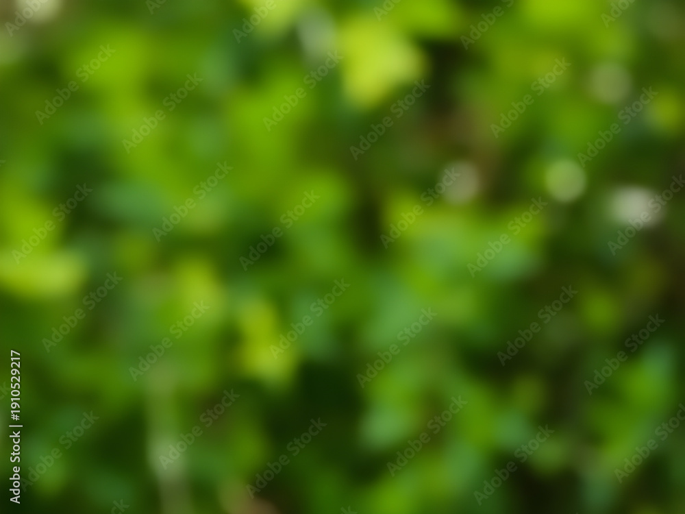 Obraz premium Green Nature Blur Background.