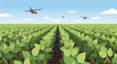 Drones fly over a vast, sunlit soybean field under a clear sky