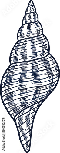 Detailed spiral seashell illustration, conical marine shell vector, ocean nature artwork, textured coastal design drawing, hand drawn aquatic icon style