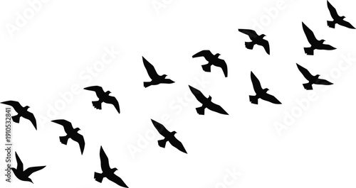 Bird silhouettes flying diagonally in coordinated formation, dynamic vector icons for migration, nature, wildlife, freedom, countryside illustrations