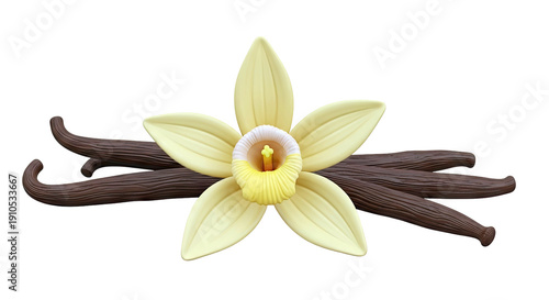 Vanilla Flower and Pods