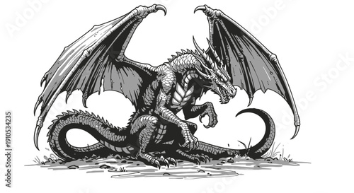 Black and White Dragon Illustration.
