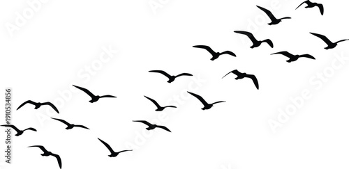 Birds flying in V formation vector illustration, migratory wildlife design, flock silhouette artwork, nature inspired symbol, teamwork concept