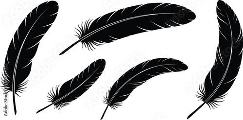 Black feather silhouette vector illustrations, diverse shapes and sizes, creative bird art designs, nature inspired graphics, tattoo inspiration, logo elements