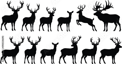 Deer silhouettes collection with antler variations and leaping pose, wildlife vector icons for nature, forest, countryside, hunting illustrations