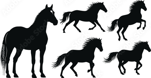 Black horse silhouette vector illustrations, standing and running poses, creative animal art designs, equine motion graphics, tattoo inspiration, logo elements