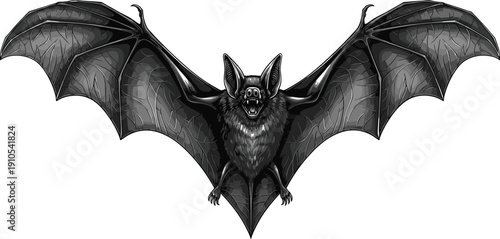 Detailed bat vector illustration, symmetrical wing artwork, black and white animal design, decorative nocturnal motif, realistic fantasy creature drawing