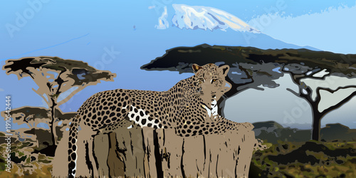 A majestic leopard rests beneath acacia trees with mount kilimanjaro