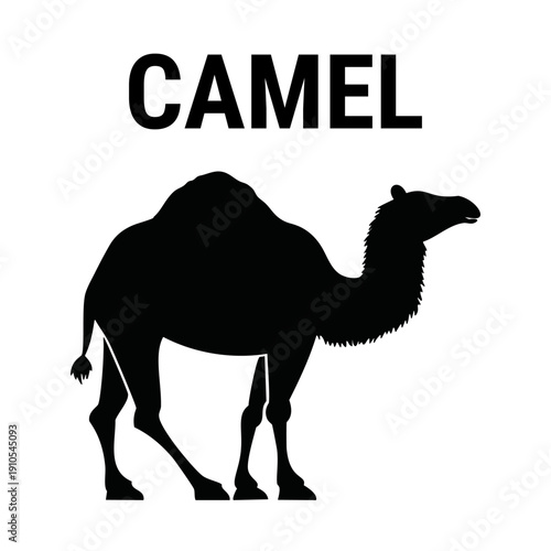 Elegant silhouette vector illustration of a camel. A symbol of resilience and endurance in the desert, perfect for designs related to nature, animals, travel, and the exotic