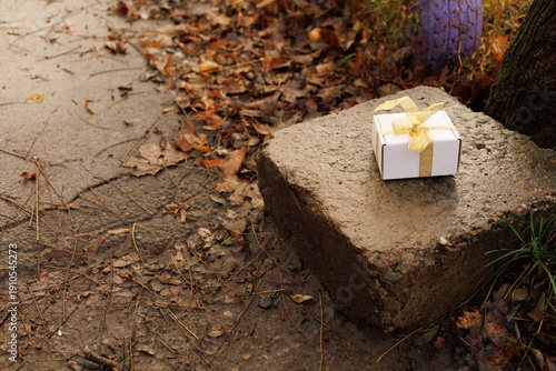 A small gift box sits on a stone in a natural area covered with fallen leaves