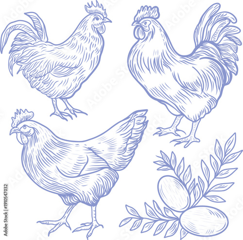 Vintage line art illustration of chickens and eggs in engraving style.
