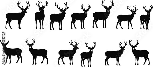 Large collection of black deer and buck silhouettes with majestic antlers isolated on white background for hunting nature wildlife forest conservation and outdoor animal design