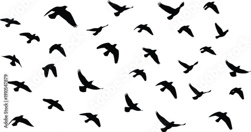 Flying bird silhouette vector illustration, flock in motion artwork, decorative black shapes, abstract avian design, minimal wildlife motif pattern