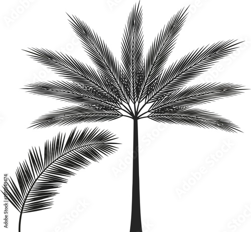 Palm tree silhouette and a separate palm frond are depicted in a clean, graphic black and white illustration, suitable for various tropical-themed designs and digital projects.