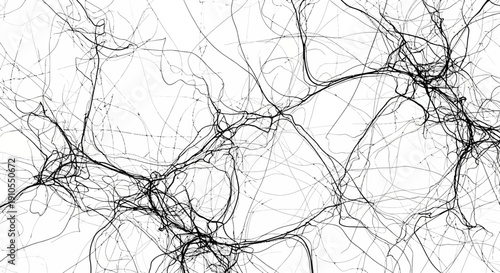 Complex Network of Black Lines and Paths.