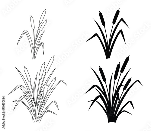 Cattail Plants Silhouette Vector Illustration