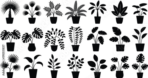 Indoor potted plant silhouette set, houseplant collection in pots, tropical leaves, home decor botanical shapes, black vector illustration isolated on white background