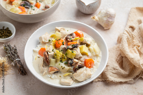 Fotografi assiette de blanquette de poulet fait maison carottes poireaux et champignons