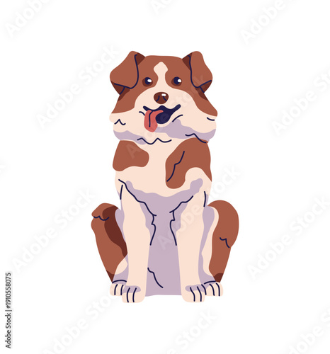 Cute Border collie with sticking tongue sits. Funny Australian shepherd with brown coat. Happy fluffy dog. Adorable puppy, joyful pet, excited animal. Flat isolated vector illustration on white.