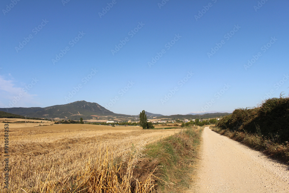 Fototapeta premium Dirt path leading toward Villatuerta on Camino de Santiago Frances in Navarra Spain July 2024