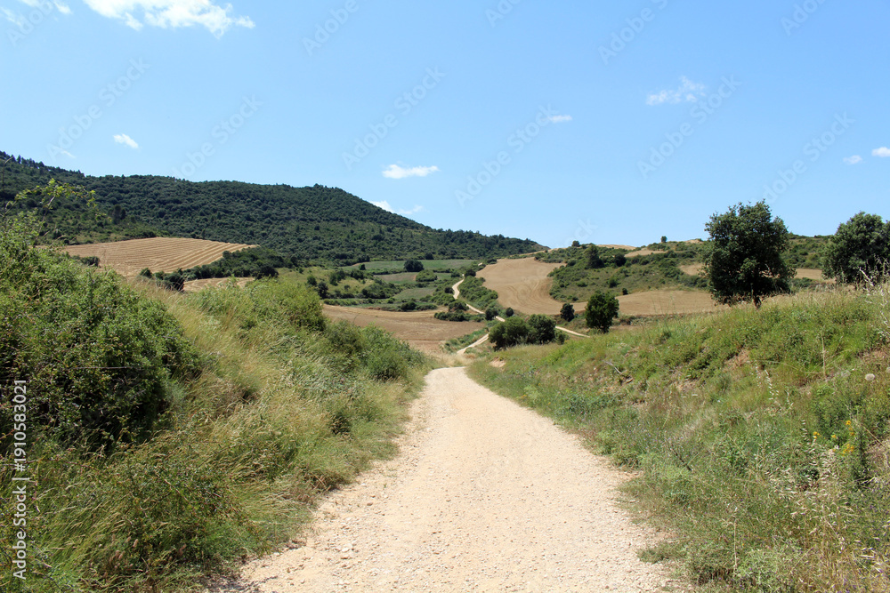 Obraz premium Wheat farm and dirt path on Camino de Santiago Frances in Navarra Spain July 2024