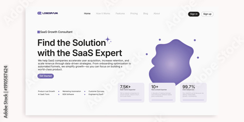 SaaS Expert's Solution: A digital interface design advertising solutions in the digital space for a business expert. 