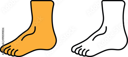 Human Foot Icon Set – Bare Foot, Anatomy, Line and Glyph Vector Illustration