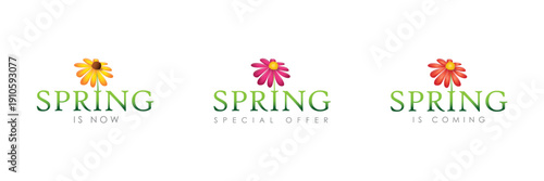 spring blooming flower petal typography set isolated vector illustration