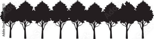 Row of tall slender deciduous trees silhouette vector illustration creating forest line art border