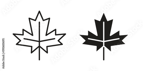 Maple leaf icon. simple thin line icon vector illustration pack on white