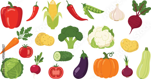 Fresh vegetable vector illustration set with colorful organic produce, healthy farm food collection including peppers, corn, broccoli, pumpkin and root vegetables