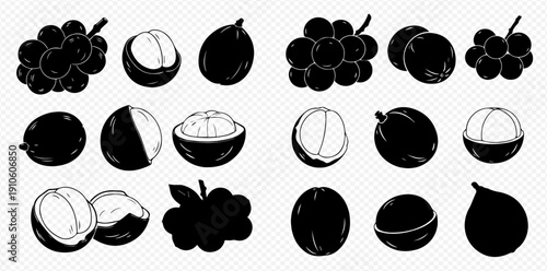 Set of various tropical fruits in black and white silhouette illustrations, including mangosteen, lychee, and grapes.