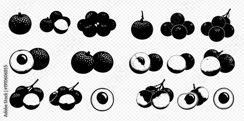 Set of hand-drawn lychee and rambutan fruits in various forms and cuts, black and white vector illustration.