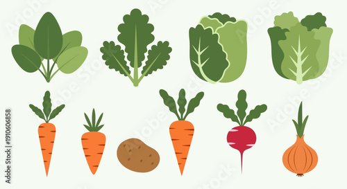 Assorted Vegetables and Leafy Greens Illustration.