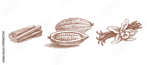 Vanilla pod and vanilla flower, chocolate beans and cinnamon. Hand drawn engraving style illustrations.	
