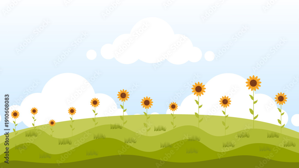 Fototapeta premium sunny sunflower field on green grass hills under blue sky white clouds