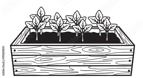Illustration of young plants growing in a wooden planter box from a front viewpoint